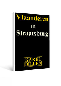 Vlaanderen in Straatsburg - Karel Dillen - deel 1